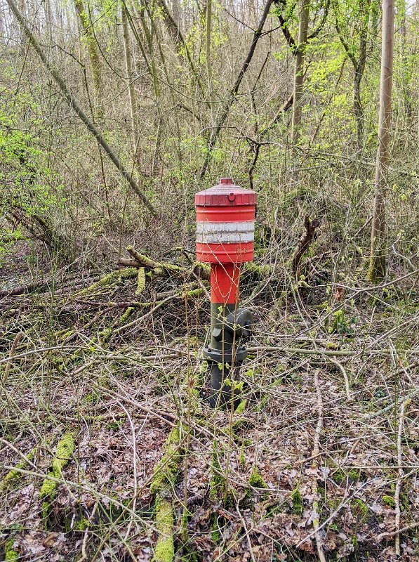 PXL_20220320_122442952-01