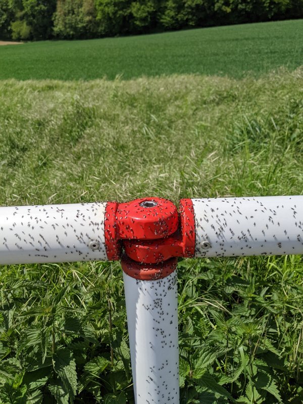 PXL_20220514_113008434