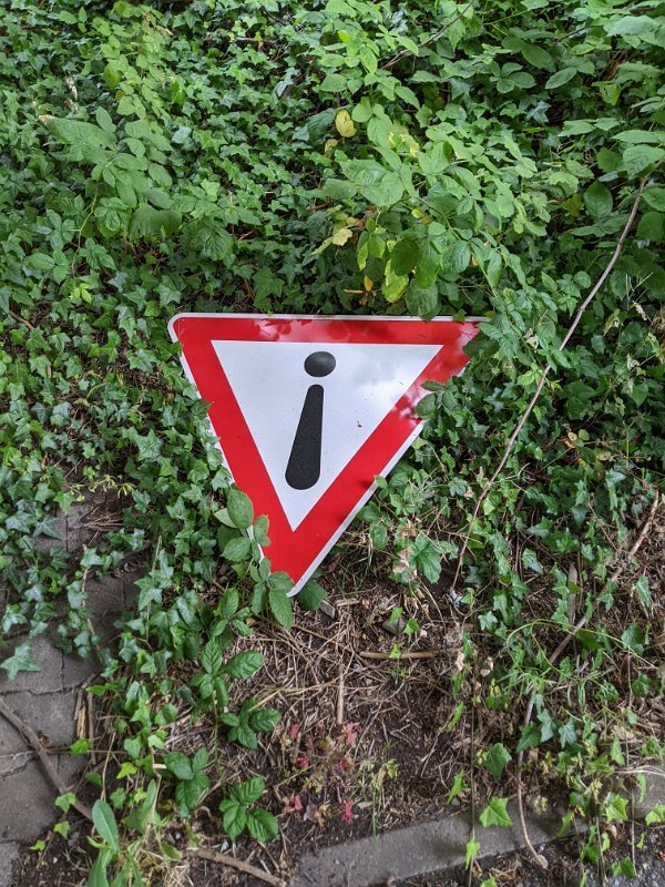 PXL_20220627_134110768