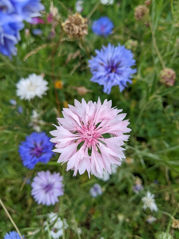 PXL_20220627_140441958