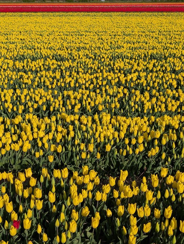 PXL_20250420_164548196