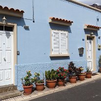 PXL_20230524_154628841.MP