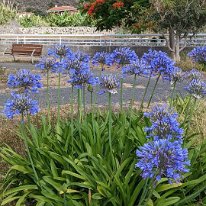 PXL_20230524_165219723.MP