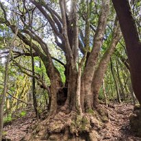 PXL_20230525_102945956.MP~2