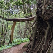 PXL_20230525_113406924.MP