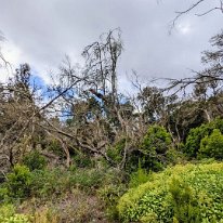 PXL_20230525_115027463.MP~2