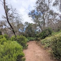 PXL_20230525_115034829.MP~2