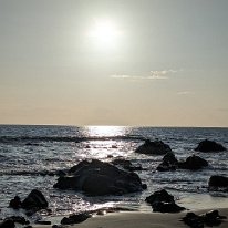 PXL_20230525_190141294.MP