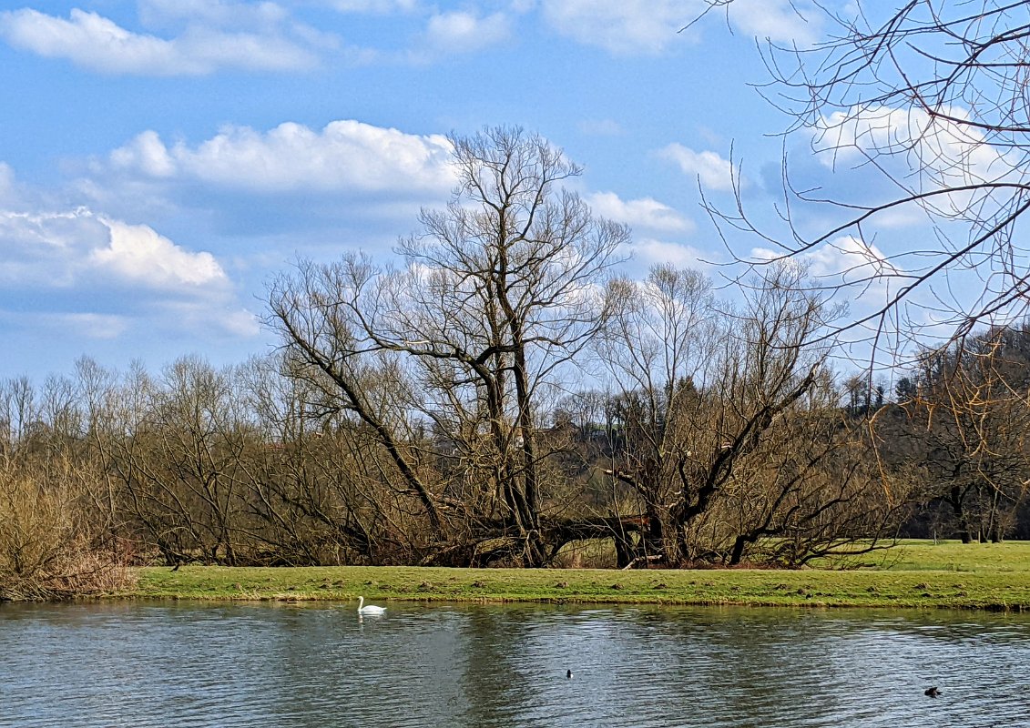 PXL_20220321_134233224-01