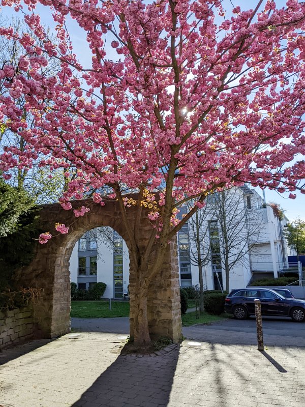 PXL_20220416_152318639-01