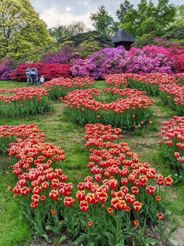 PXL_20220506_153212767-01