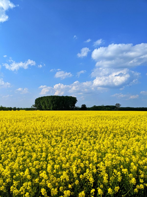 PXL_20220509_144525853-01