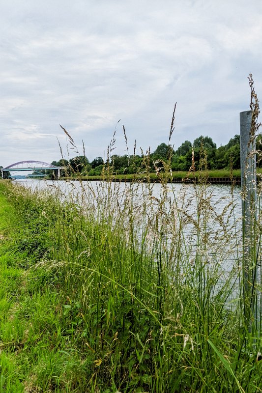 PXL_20220605_095013086-01