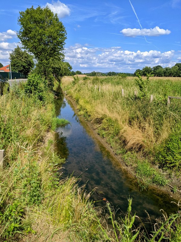 PXL_20220625_141820956-01