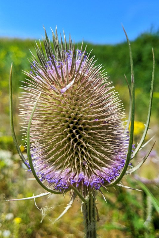 PXL_20220717_110431602-01