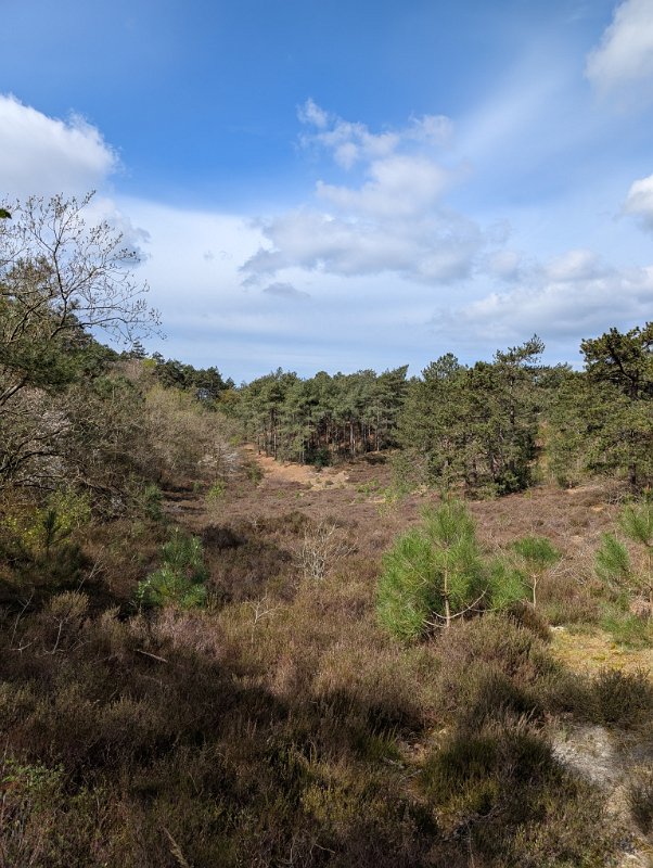 PXL_20250418_094706455