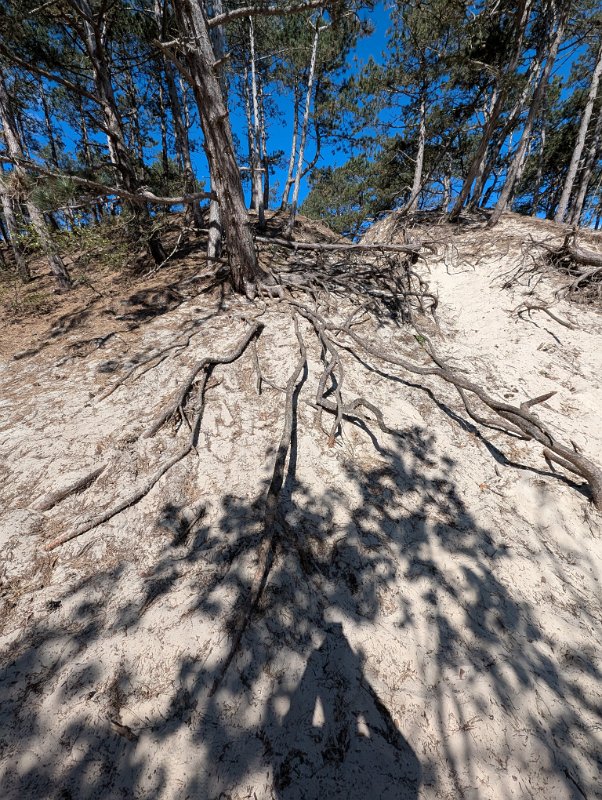 PXL_20250419_094550031