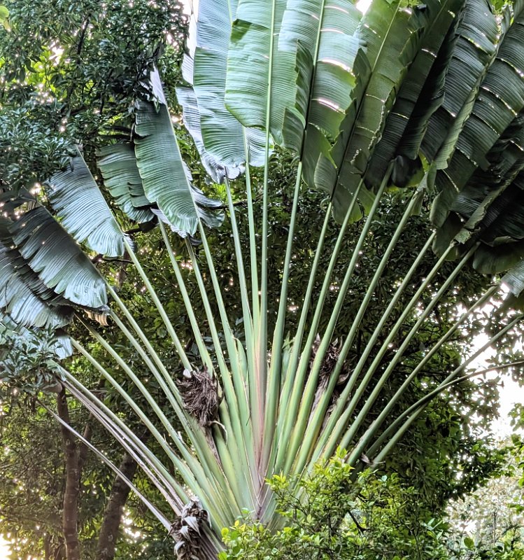 PXL_20250707_150756161.MP~2