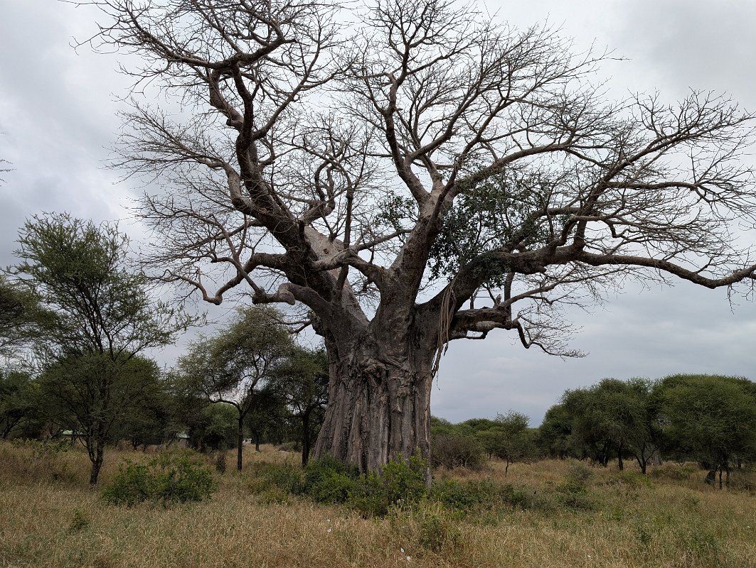 PXL_20250708_094516452