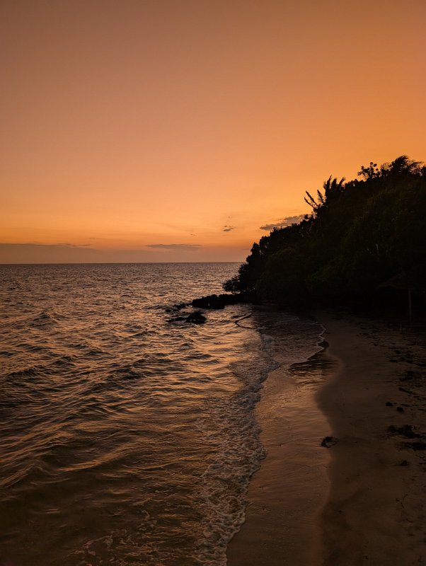 PXL_20250714_154027073.MP