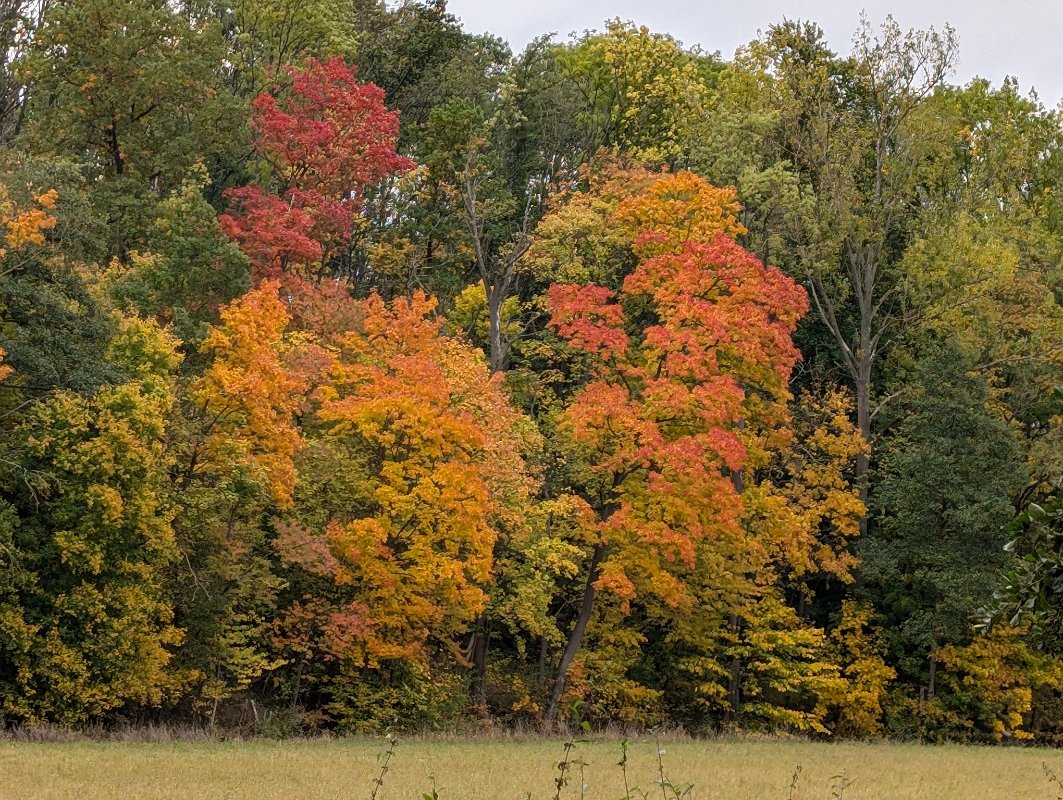 PXL_20251011_085701982