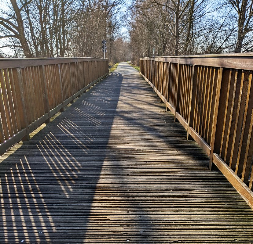 PXL_20220308_143111885-01