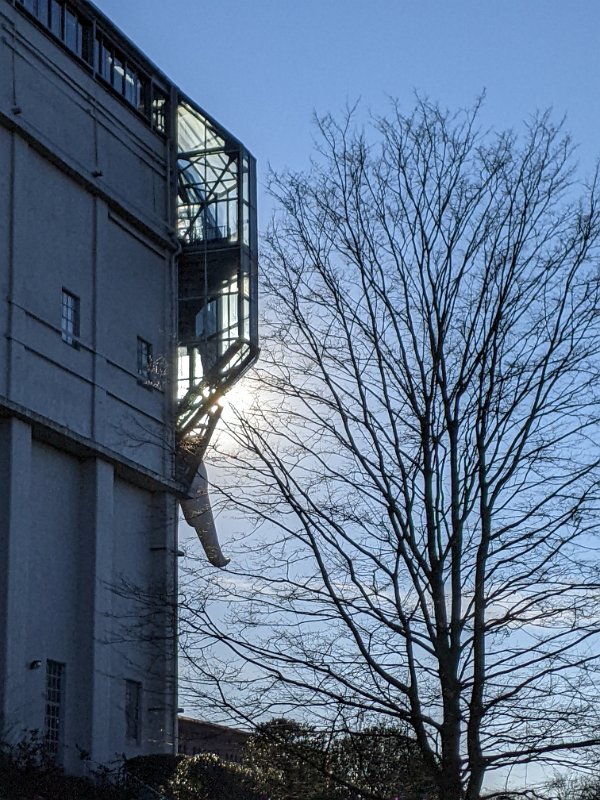 PXL_20220309_153826591-01