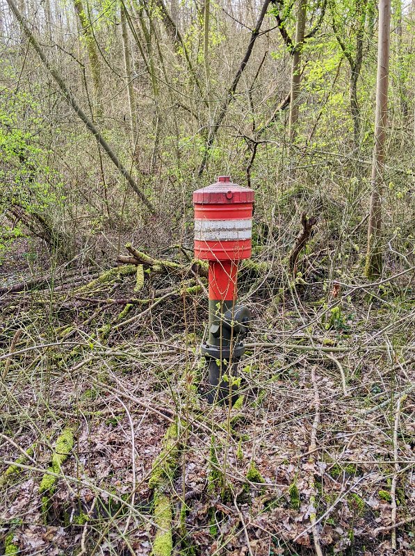 PXL_20220320_122442952-02