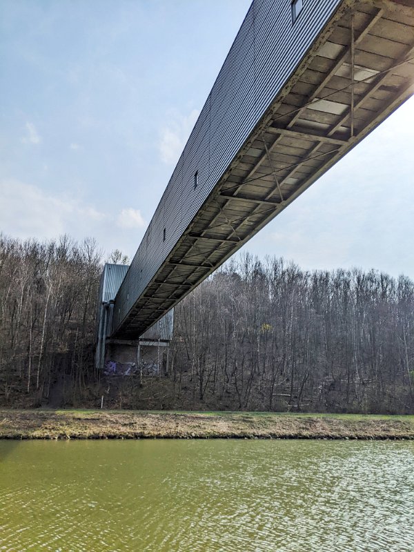 PXL_20220320_123556075-01