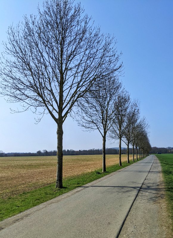 PXL_20220321_113152698-01