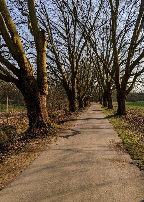 PXL_20220324_151914540-01