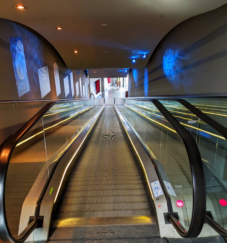 PXL_20220327_141413231-01