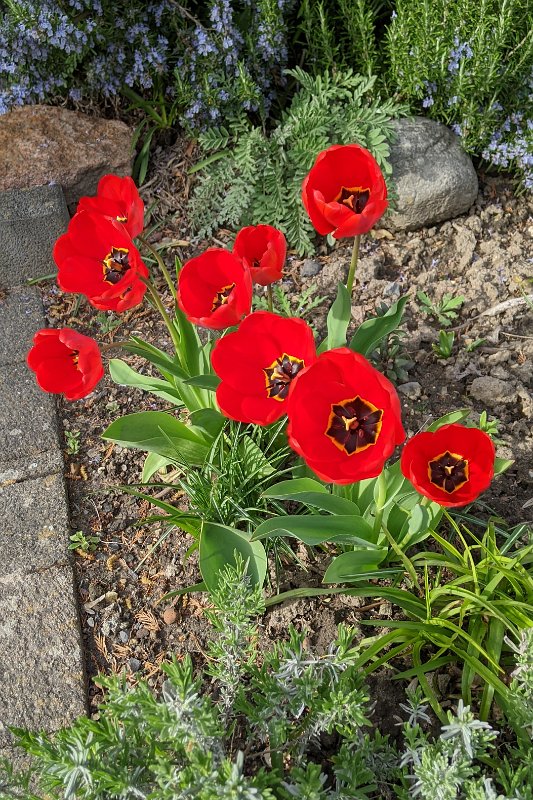 PXL_20220412_152733573-01