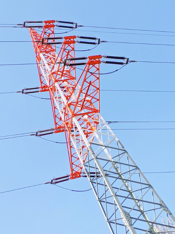 PXL_20220420_114527070-01