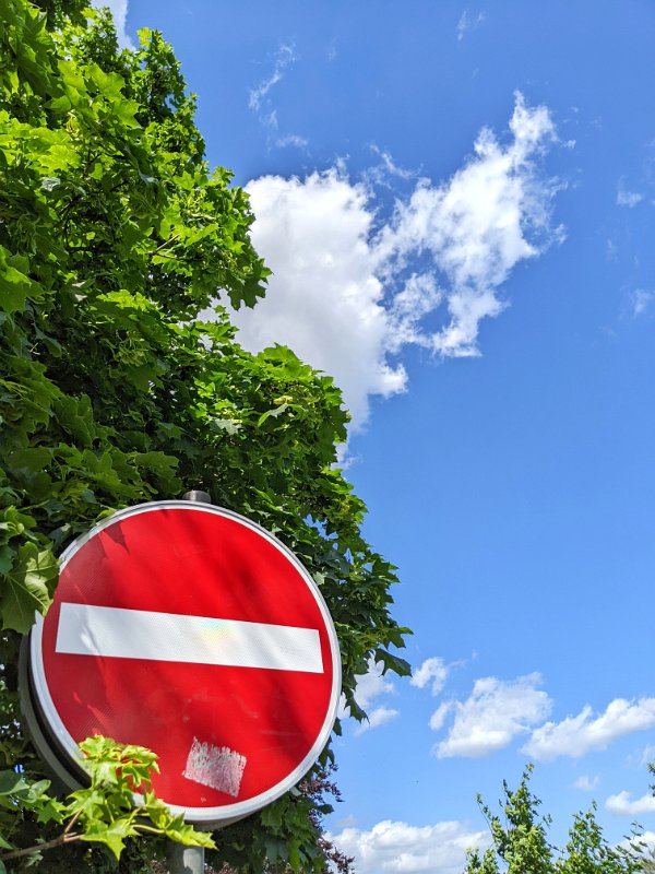 PXL_20220527_140644403-01