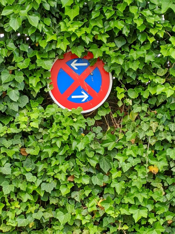 PXL_20220628_134044361-01