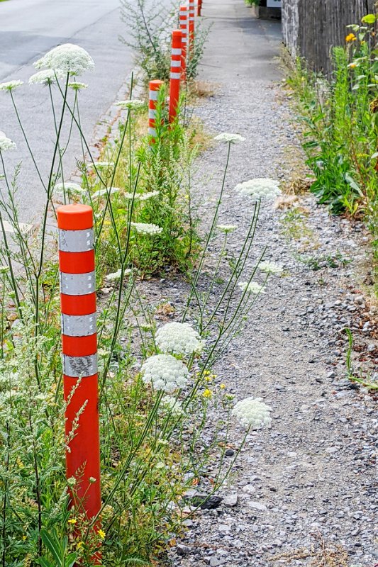 PXL_20220628_134407326-01