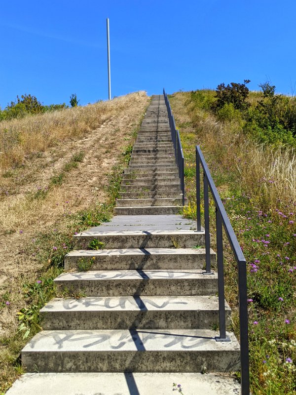 PXL_20220717_101559713-01