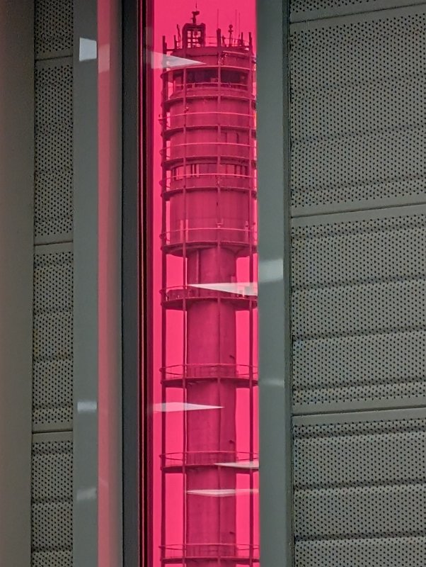 PXL_20260829_080231266