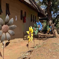 PXL_20220816_100343128