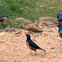 PXL_20250708_081346262