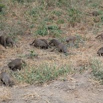 PXL_20250708_093516253