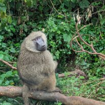 PXL_20250709_052243573