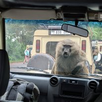 PXL_20250709_052450089.MP