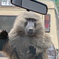 PXL_20250709_052518623