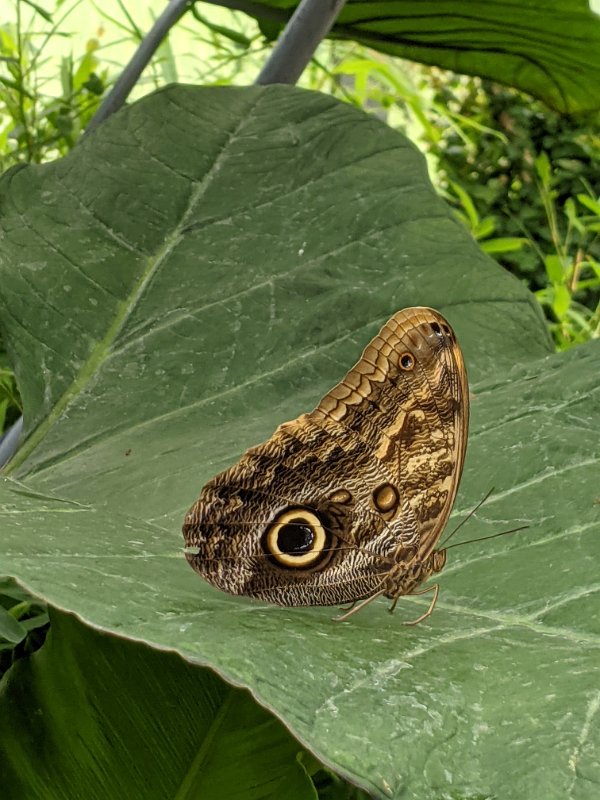 PXL_20210715_150500055