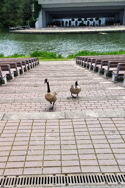 PXL_20220508_101916815-01