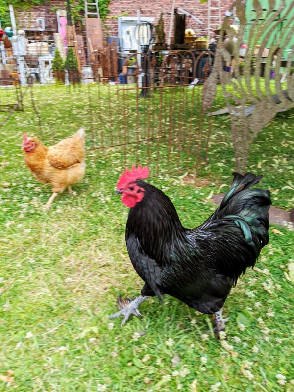 PXL_20220703_161241352-01