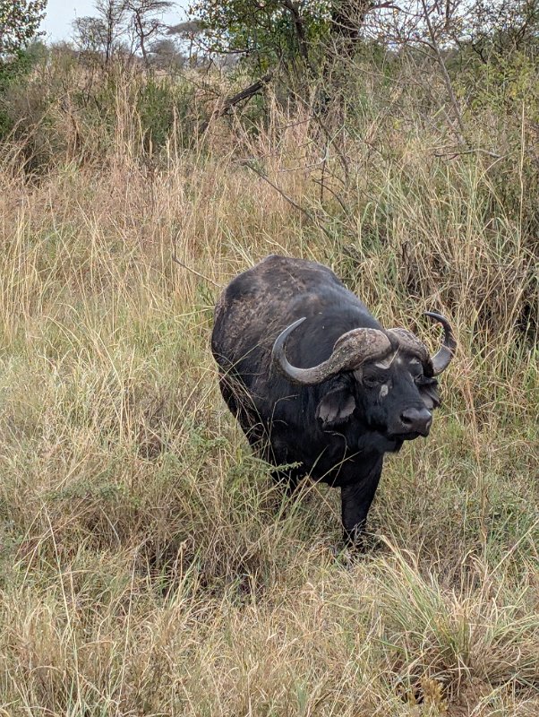 PXL_20250709_123309125