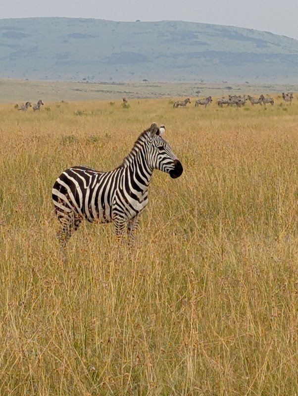 PXL_20250710_065531870